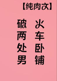 火车卧铺破两处男(纯肉高H)